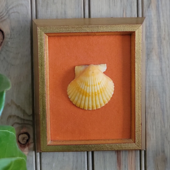 Vintage shell art - Picture 1 of 4